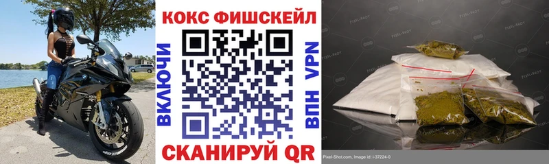 COCAIN Fish Scale Сокол