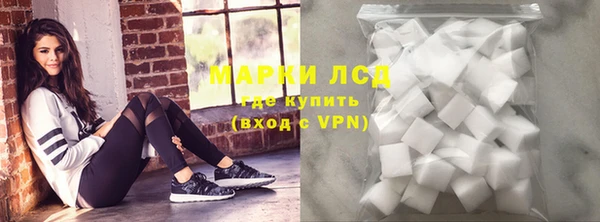 ПСИЛОЦИБИНОВЫЕ ГРИБЫ Тайга