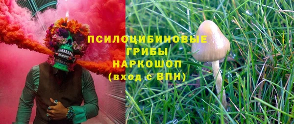 spice Дмитриев
