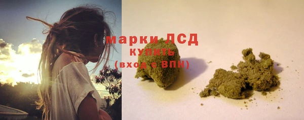 spice Дмитриев