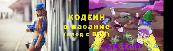 spice Дмитриев