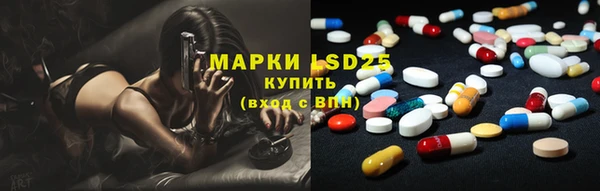 spice Дмитриев