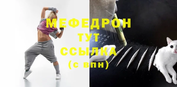 spice Дмитриев