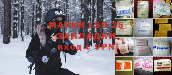 ПСИЛОЦИБИНОВЫЕ ГРИБЫ Тайга