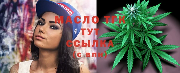 spice Дмитриев
